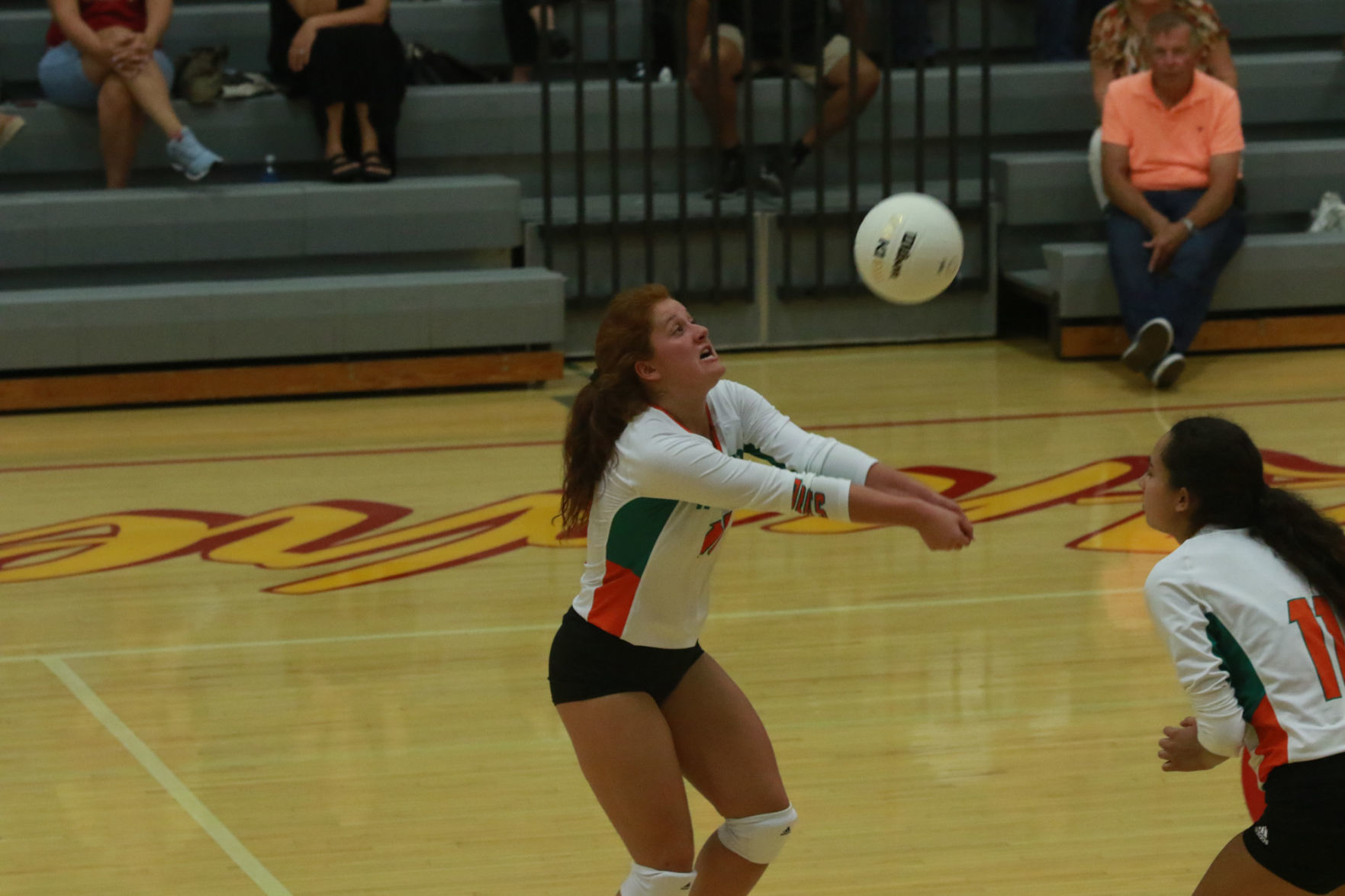 Gallery: Girls volleyball - Wheeler at Andrean